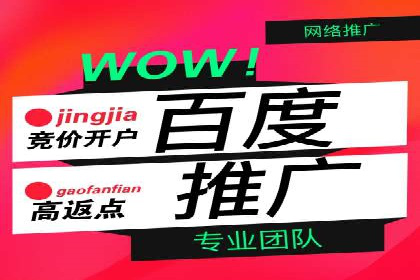 案例解读：百度推广代运营公司助力行业翘楚